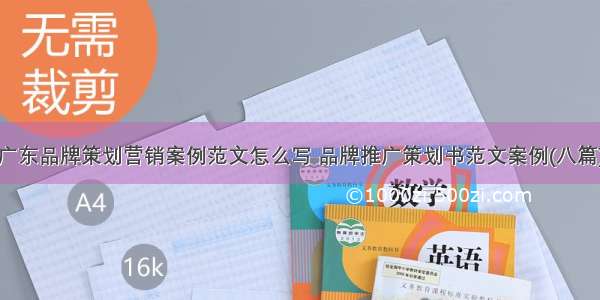 广东品牌策划营销案例范文怎么写 品牌推广策划书范文案例(八篇)