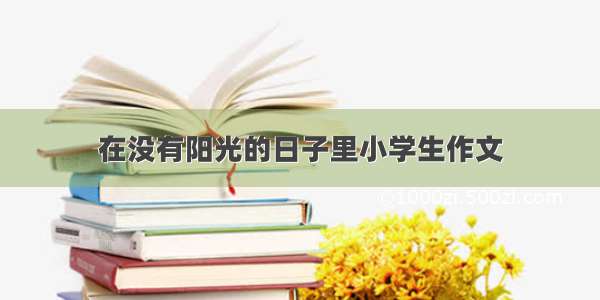 在没有阳光的日子里小学生作文